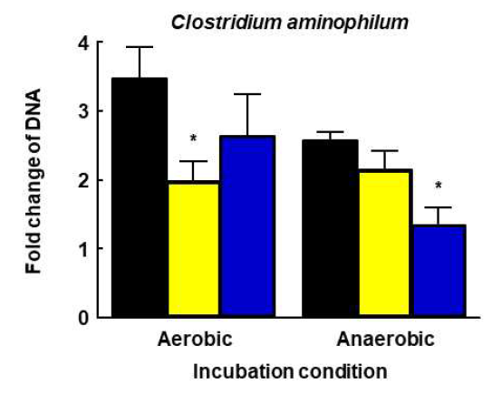 Real-time PCR analysis of DNA concentration change of C. aminophilum by treatment of strains. SB, Saccharomyces boulardii; SC, Saccharomyces cerevisiae. *p<0.05 vs CON