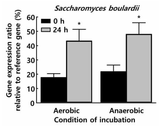 Survival ability of SB in the manure by analysis of DNA proportion ratio changes. *p<0.05 vs 0h