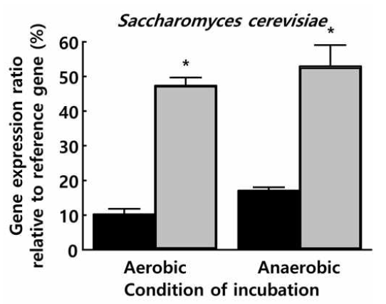 Survival ability of SC in the manure by analysis of DNA proportion ratio changes. *p<0.05 vs 0h