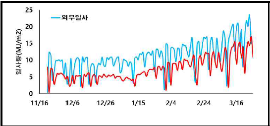 재배기간의 외부 및 내부 일사량 변화