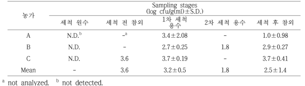 참외 세척 단계 중 대장균군 검출 정량분석 결과