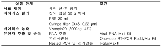 참외의 식중독바이러스 검출 여부 확인 실험