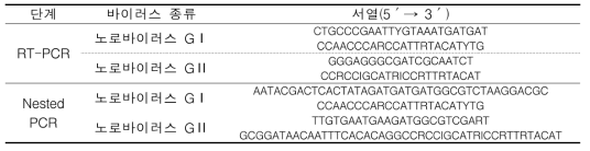 RT-PCR 및 nested PCR 프라이머 서열