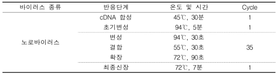 노로바이러스 RT-PCR 반응조건