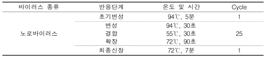 노로바이러스 nested PCR 반응조건