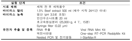 세척용수의 식중독바이러스 검출 여부 확인 실험