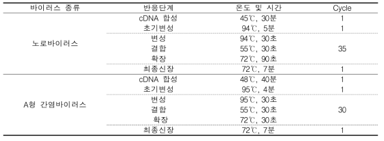 노로바이러스 및 A형 간염바이러스 RT-PCR 반응조건