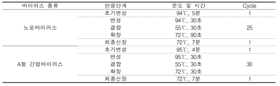 노로바이러스 및 A형 간염바이러스 nested PCR 반응조건