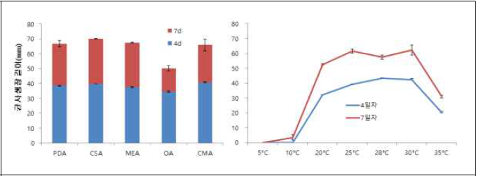 배지, 온도에 따른 균사 생장 조사