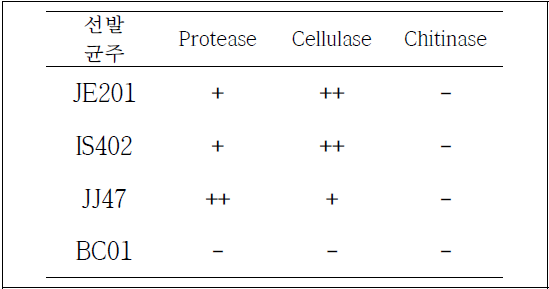 선발 균주의 효소활성 조사