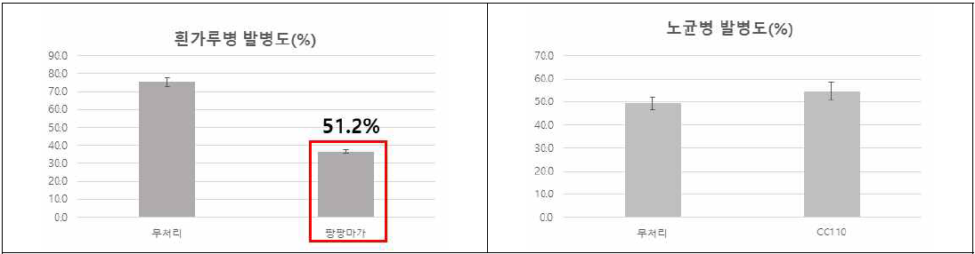 기개발 미생물제의 흰가루병과 노균병에 대한 방제효과