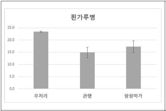 흰가루병에 대한 방제효과 검정