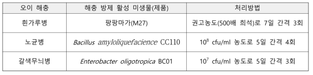 선발 미생물 및 기개발 제품을 이용한 오이 주요 병해 방제체계 구축