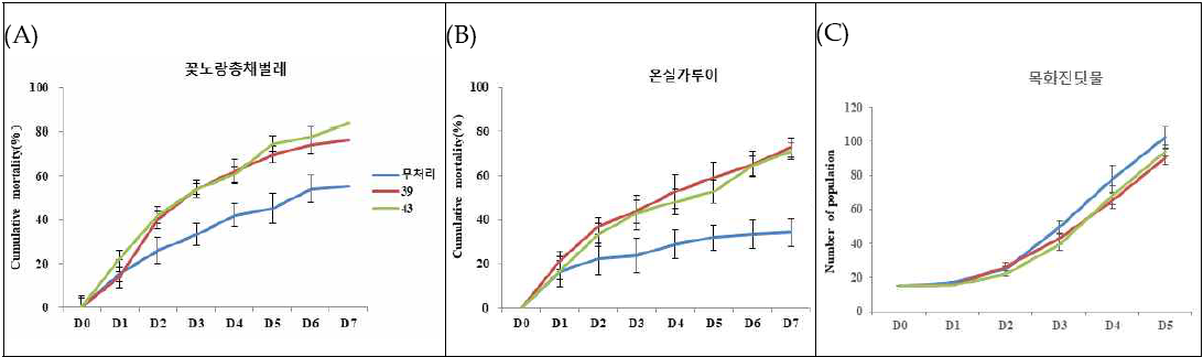 선발 곤충병원균의 오이해충에 대한 살충효과 (A) 꽃노랑총채벌레, (B) 온실가루이, (C) 목화진딧물