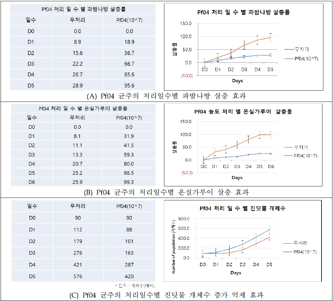 기개발 곤충병원균(Pf04)의 오이 해충에 대한 살충 및 억제 효과