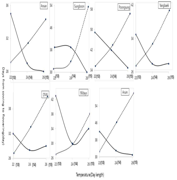 온도 및 일장조건에 따른 참깨 품종간 개화반응 추정식(실선:온도,점선:일장)