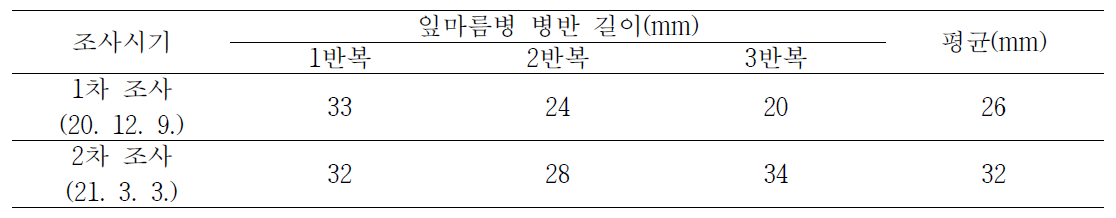 양파 월동 전, 후 잎마름병의 병반길이 변동 양상