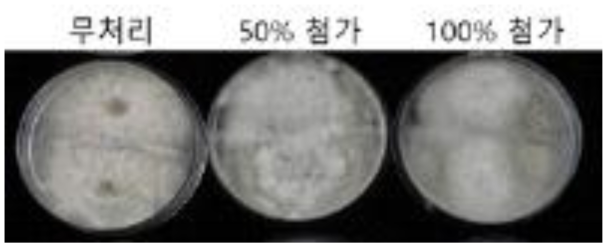 미산성차아염소산수를 이용한 잎마름병균 생육억제효과 기내 검정 결과