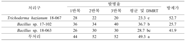 미생물 배양액 처리에 따른 잎마름병 방제효과 검정 결과