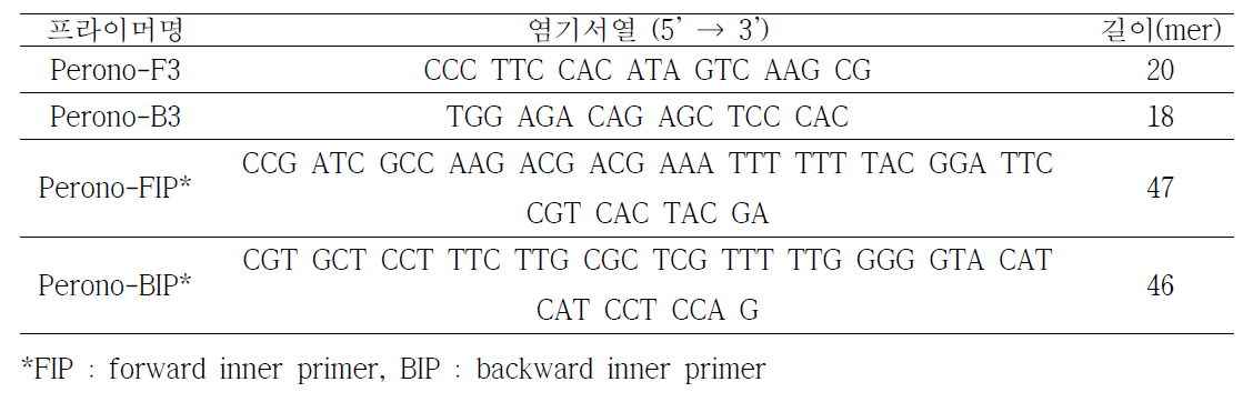 양파노균병균 등온증폭법에 사용할 프라이머 세트