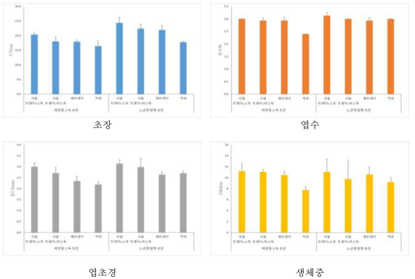 육묘 장소 및 트레이 소독에 따른 양파 유묘 지상부 묘소질 조사 결과