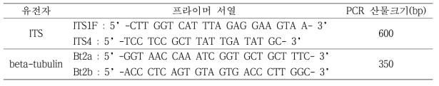 잎마름병균 균주의 유전자 염기서열 분석에 사용한 프라이머 정보