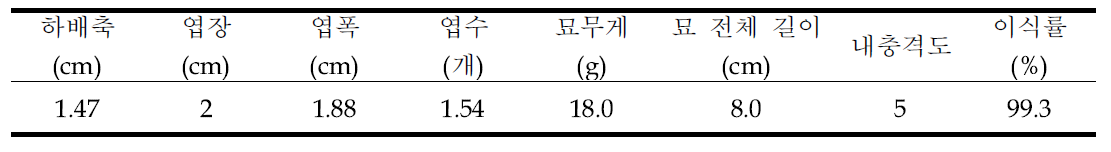 봄재배 현장실증 시험용 유묘 묘소질 및 이식률