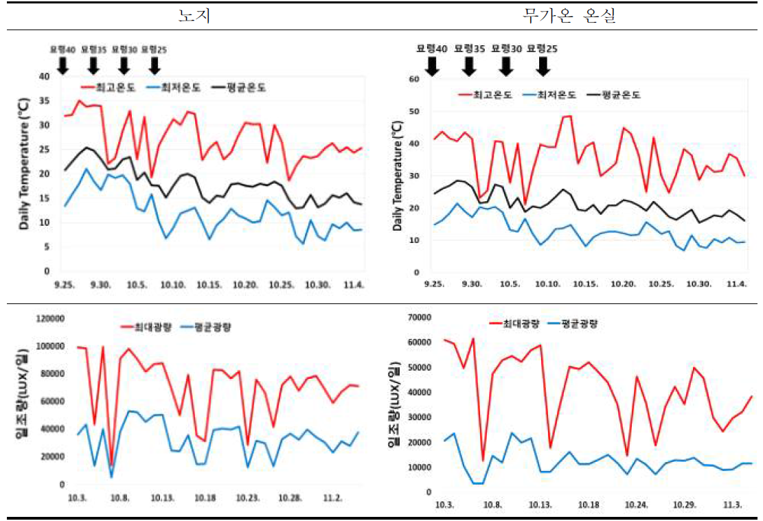 가을 재배 육묘기간 동안 온도 및 일조량 변화