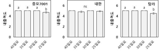 가을재배 유채 육묘 일수에 따른 생육 특성(‘20~‘21 평균). (A) 하배축길이; (B) 엽수; (C) 엽장; (D) 엽폭; (E) 묘무게; (F) 묘전체 길이; (G) 내충격도. 작은 알파벳은 처리 간 평균의 통계적 유의성을 나타냄(Duncan 검정, P<0.05)