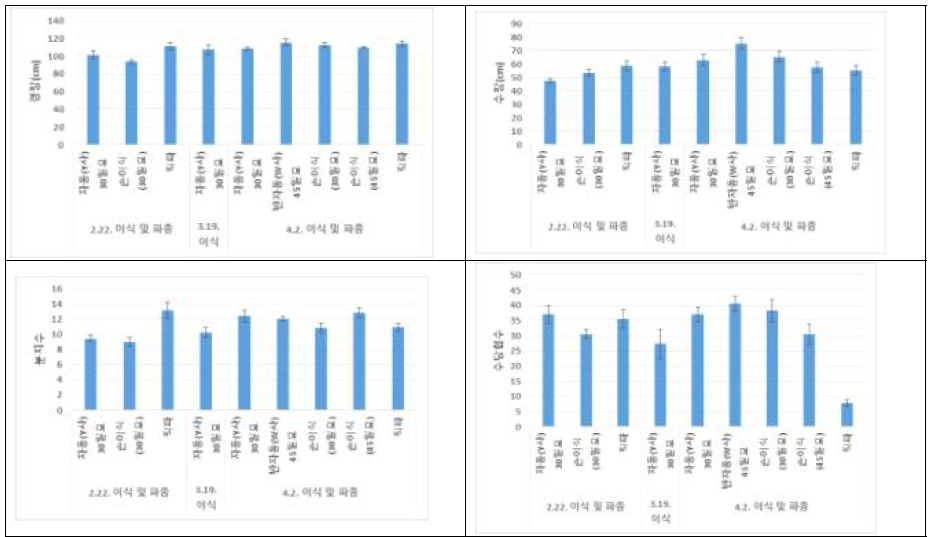 직파 및 자동 이식기 이용 유채 생육조사