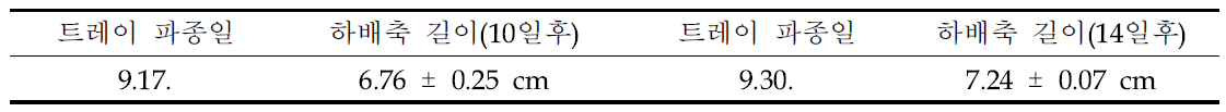 가을재배 파종일에 따른 하배축 길이