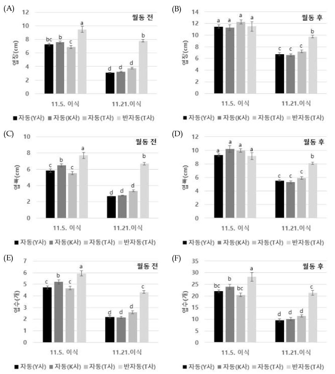 월동 전후 가을재배 이식 유채 생육 비교. (A)~(B): 엽장, (C)~(D): 엽폭; (E)~(F): 엽수; (A), (C), (E): 월동전 유채; (B), (D), (F): 월동 후 유채. 작은 알파벳은 처리 간 평균의 통계적 유의성을 나타냄(Duncan 검정, P<0.05)