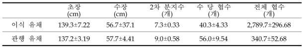 가을재배 이식 및 줄 뿌림 유채 최종 생육 비교