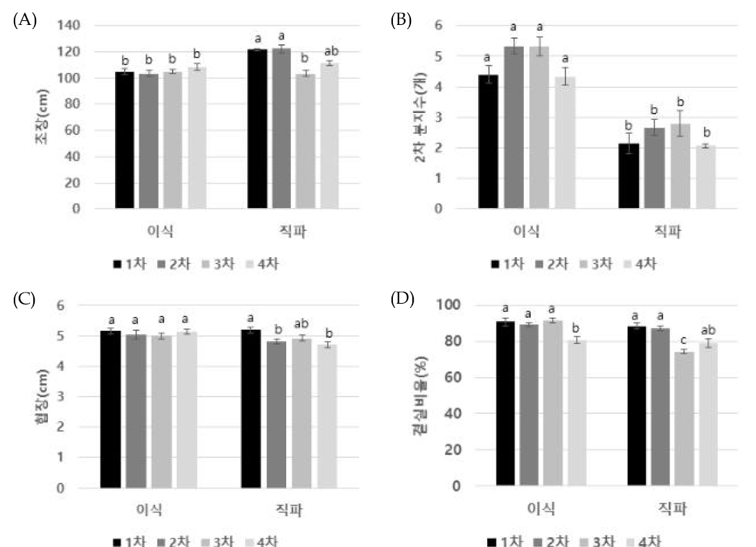 이식시기에 따른 이식 유채 등숙기 최종 생육 비교. (A): 초장; (B): 2차 분지수; (C): 협장; (D): 결실비율. 작은 알파벳은 처리 간 평균의 통계적 유의성을 나타냄 (Duncan 검정, P<0.05)