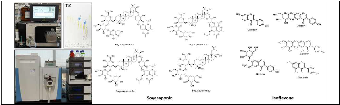 콩 주요 기능성물질인 소야사포닌류, 이소플라본류 정제 및 구조 확인