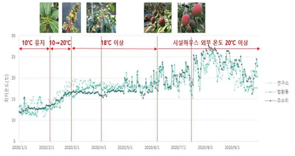 망고 일반가온 재배농가별 최저온도 변화