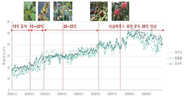 망고 일반가온 재배농가별 평균온도 변화