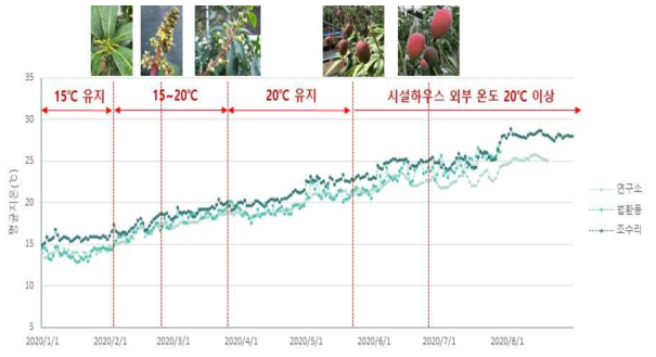 망고 일반가온 재배농가별 평균지온 변화