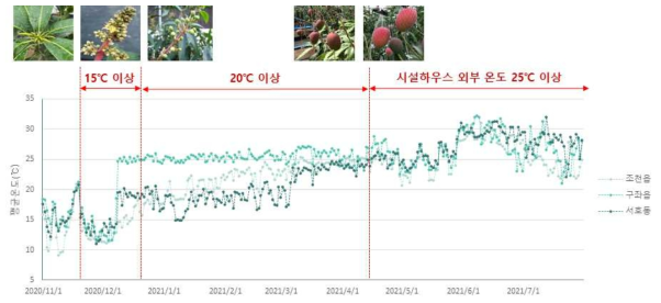 망고 조기가온 재배농가별 평균온도 변화