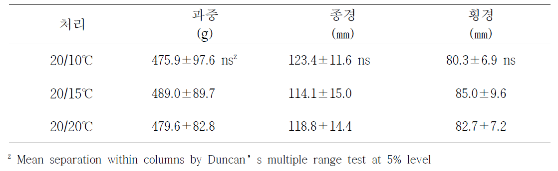 주/야 최저 온도처리별 과실생육 특성