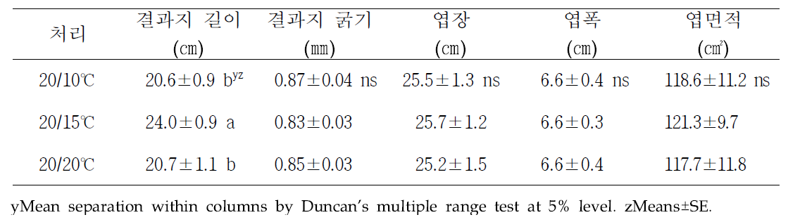 야간 최저온도 수준별 결과지 특성