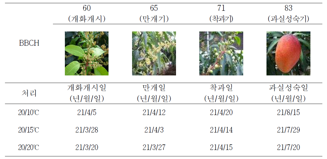 야간 최저온도 수준별 생물계절양상