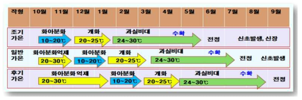 망고 재배작형에 따른 월별 수체생육