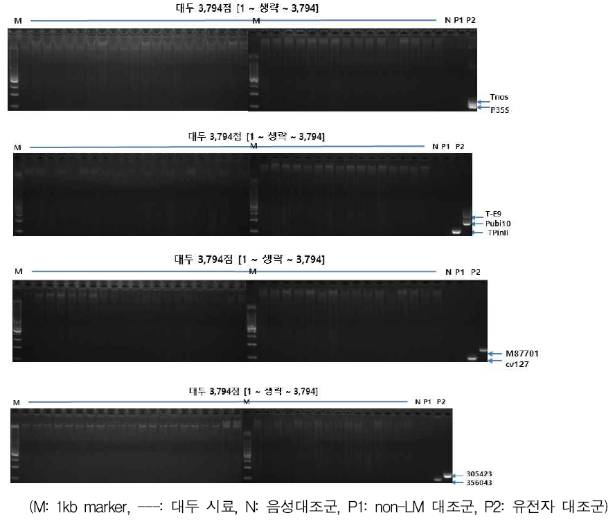 대두 유전자원의 다중-PCR 분석결과