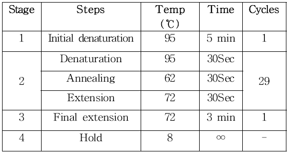 PCR 반응 조건