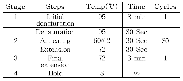 PCR 반응 조건