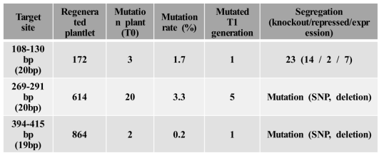 SgRNA target site 영역에 해당하는 형질전환 재분화 벼 생산 결과 요약