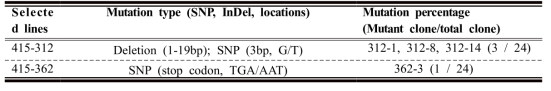 선발된 형질전환체의 목적유전자 bar 염기서열의 mutation (sgRNA 394~415bp)