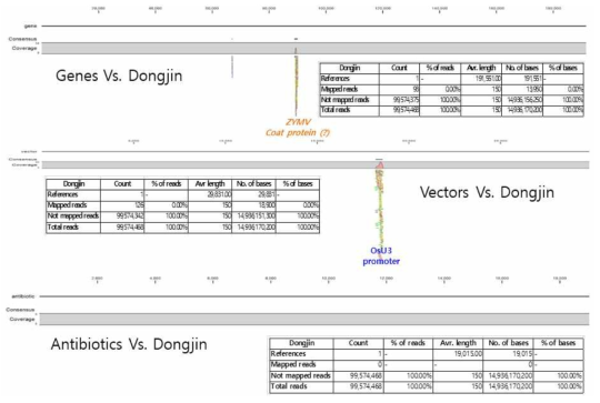 동진벼에 대한 벡터, 항생제, LMO 유전자 등의 reference mapping 결과