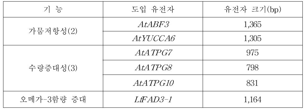 LM콩 도입 유전자 기능 및 유전자 크기